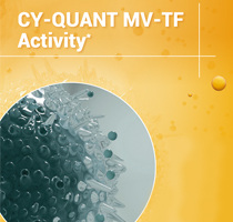 Cover of the CY-QUANR MV-TF Activity brochure